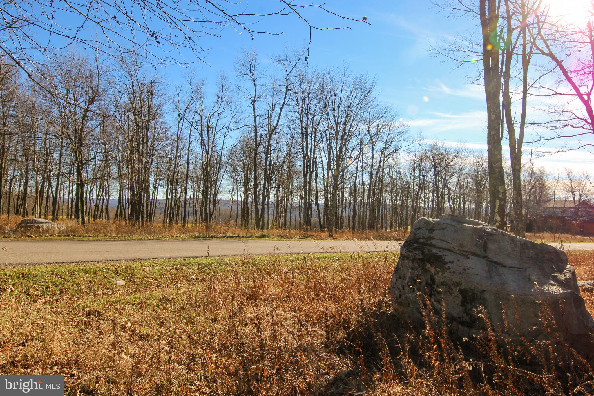 LOT 50 BILTMORE RIDGE TRAIL