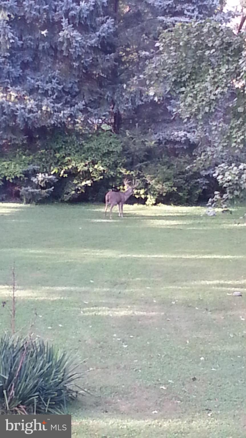 CHAPEL RIDGE - Residential