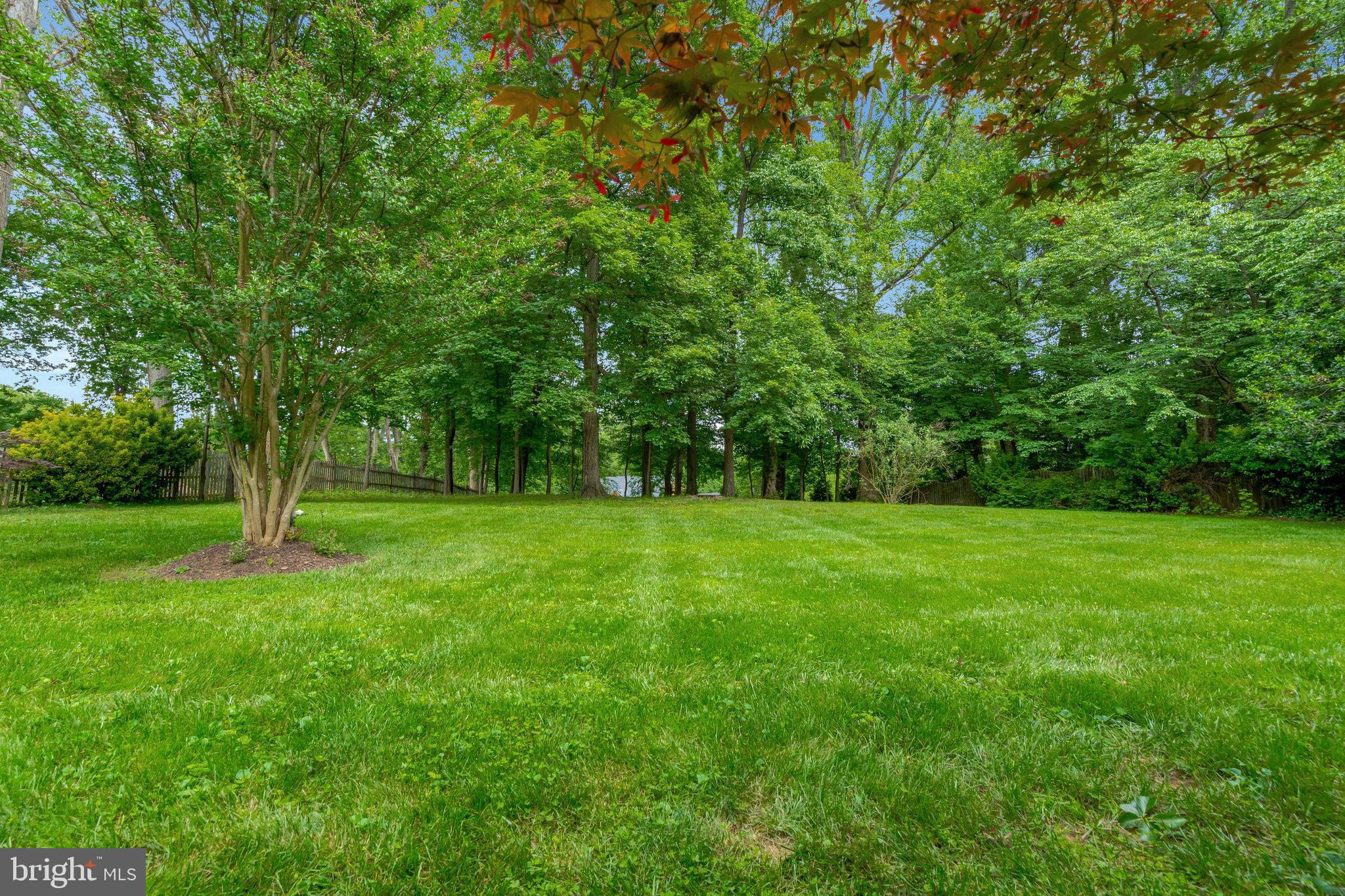 GEORGETOWN PLACE - Residential