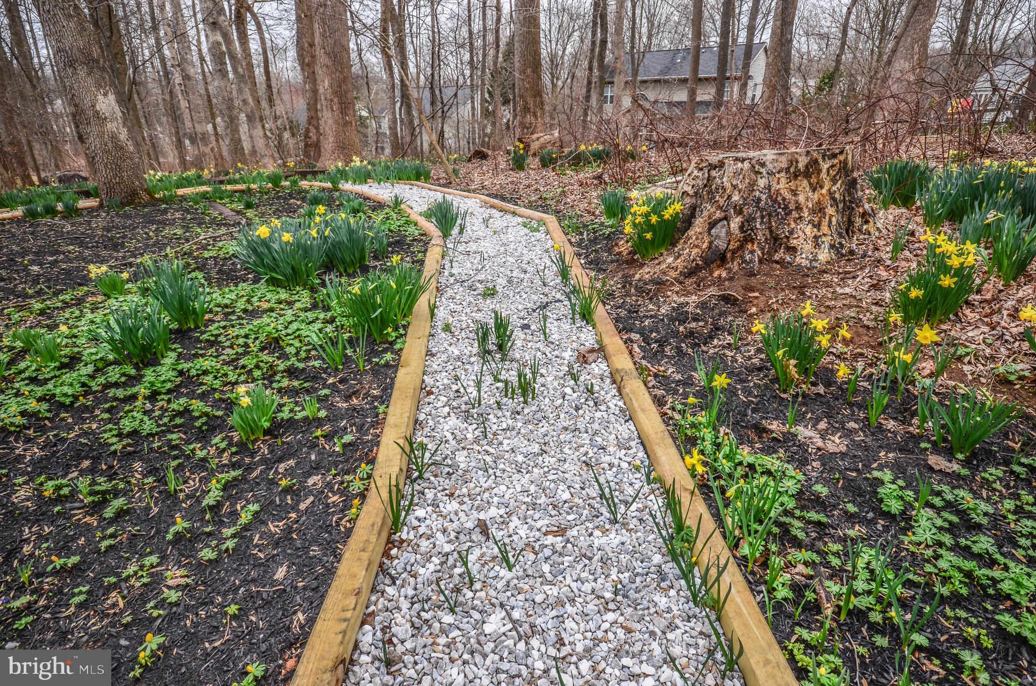 HARPERS CHOICE - Residential