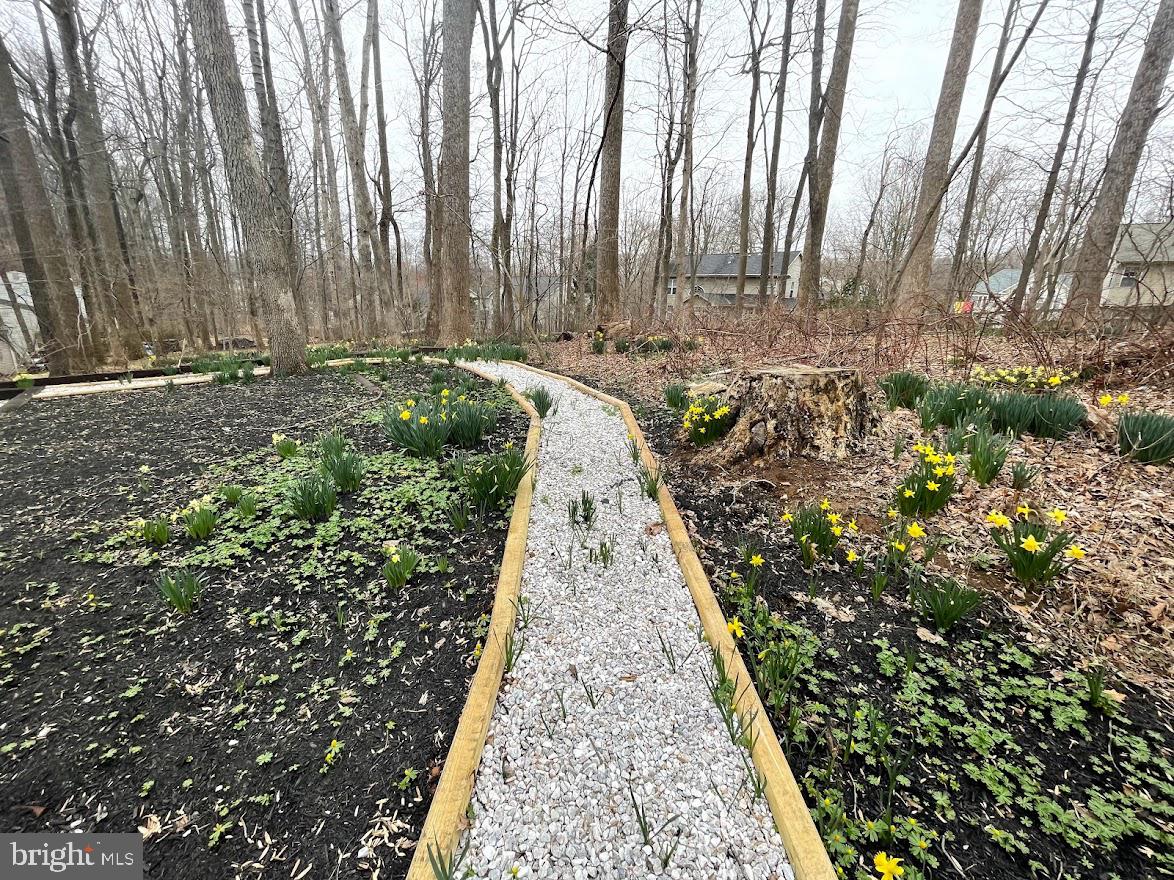 HARPERS CHOICE - Residential