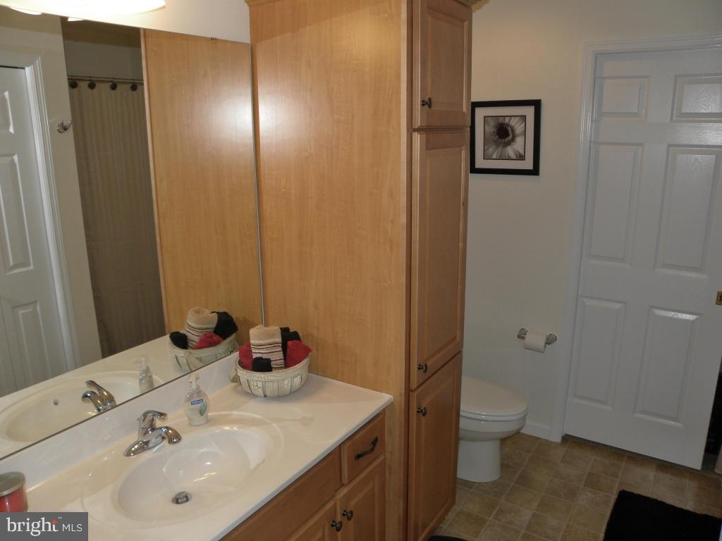 SUMMIT POINTE AT ELM TREE - Residential