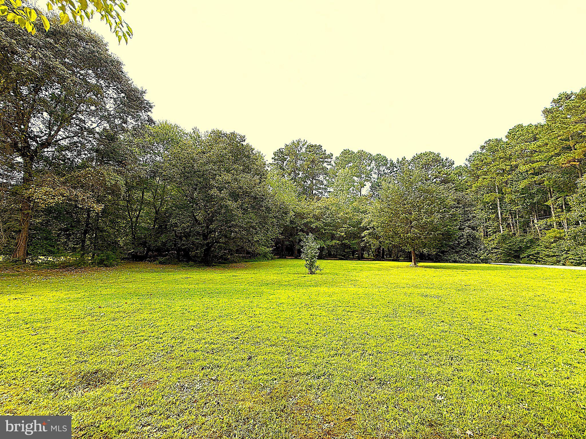 DRUM POINT - Residential