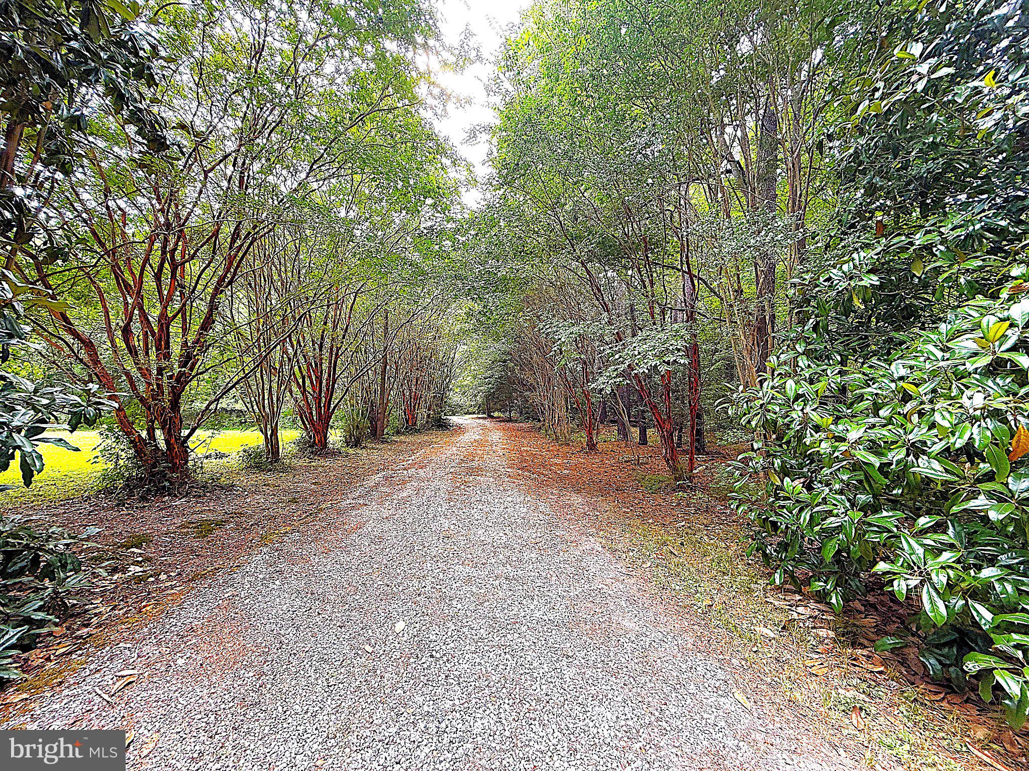 DRUM POINT - Residential