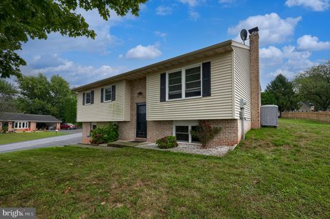 979 DANIEL DRIVE STEVENS PA 17578