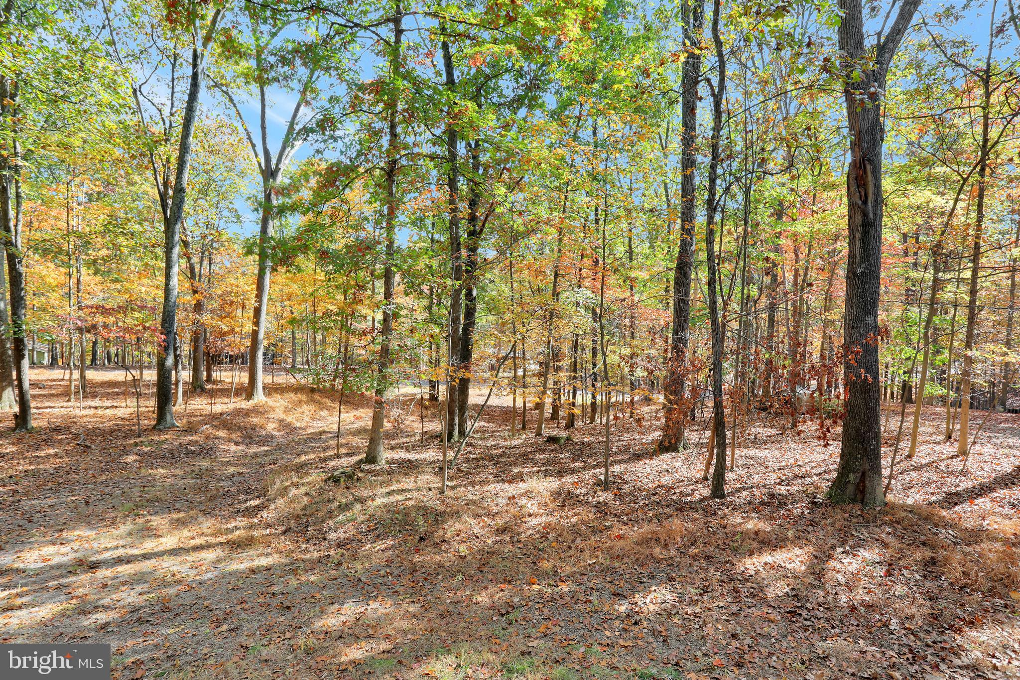 THE WOODS - Residential