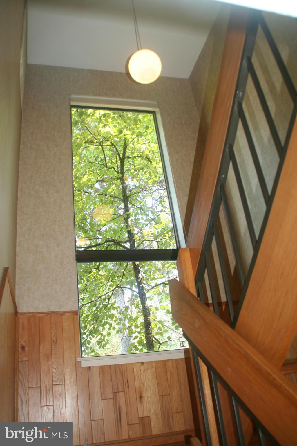 RESTON - Residential Lease