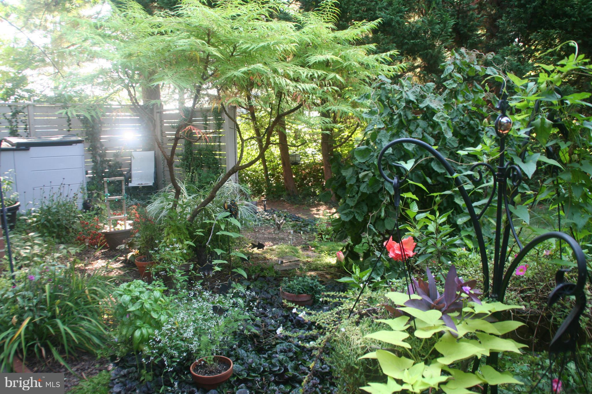 RESTON - Residential Lease