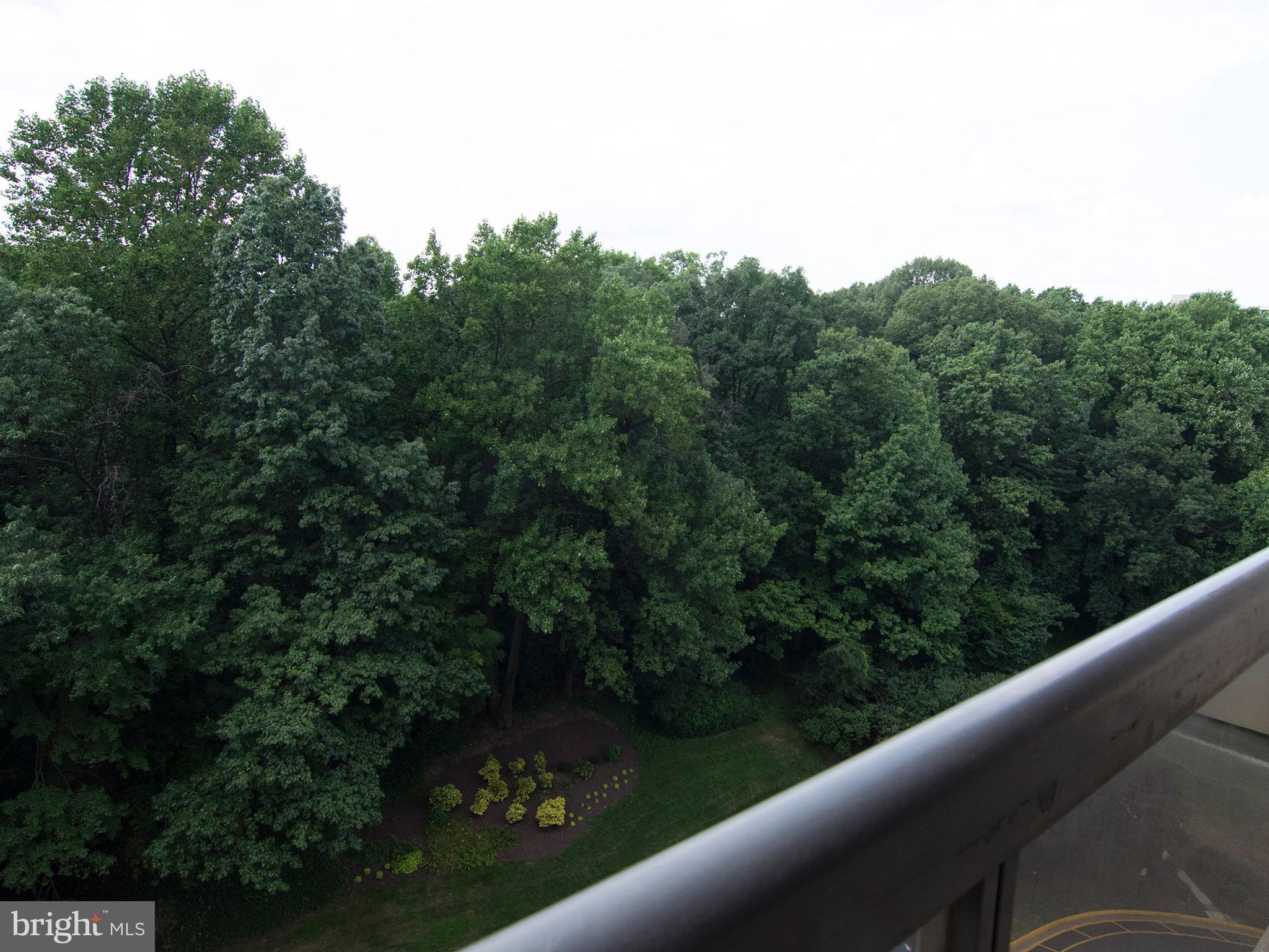 WATERGATE AT LANDMARK - Residential