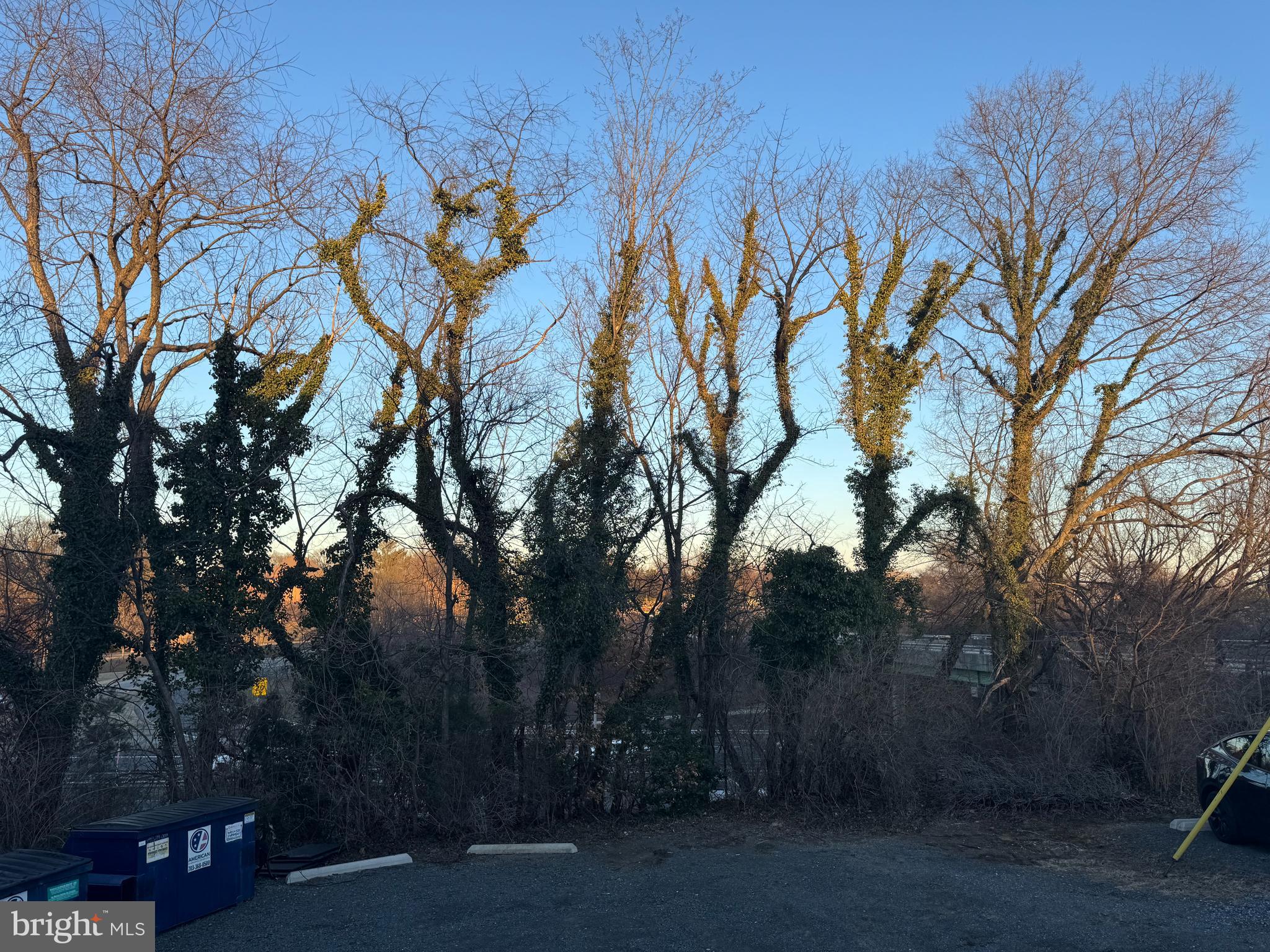 COLUMBIA PIKE - Residential Lease