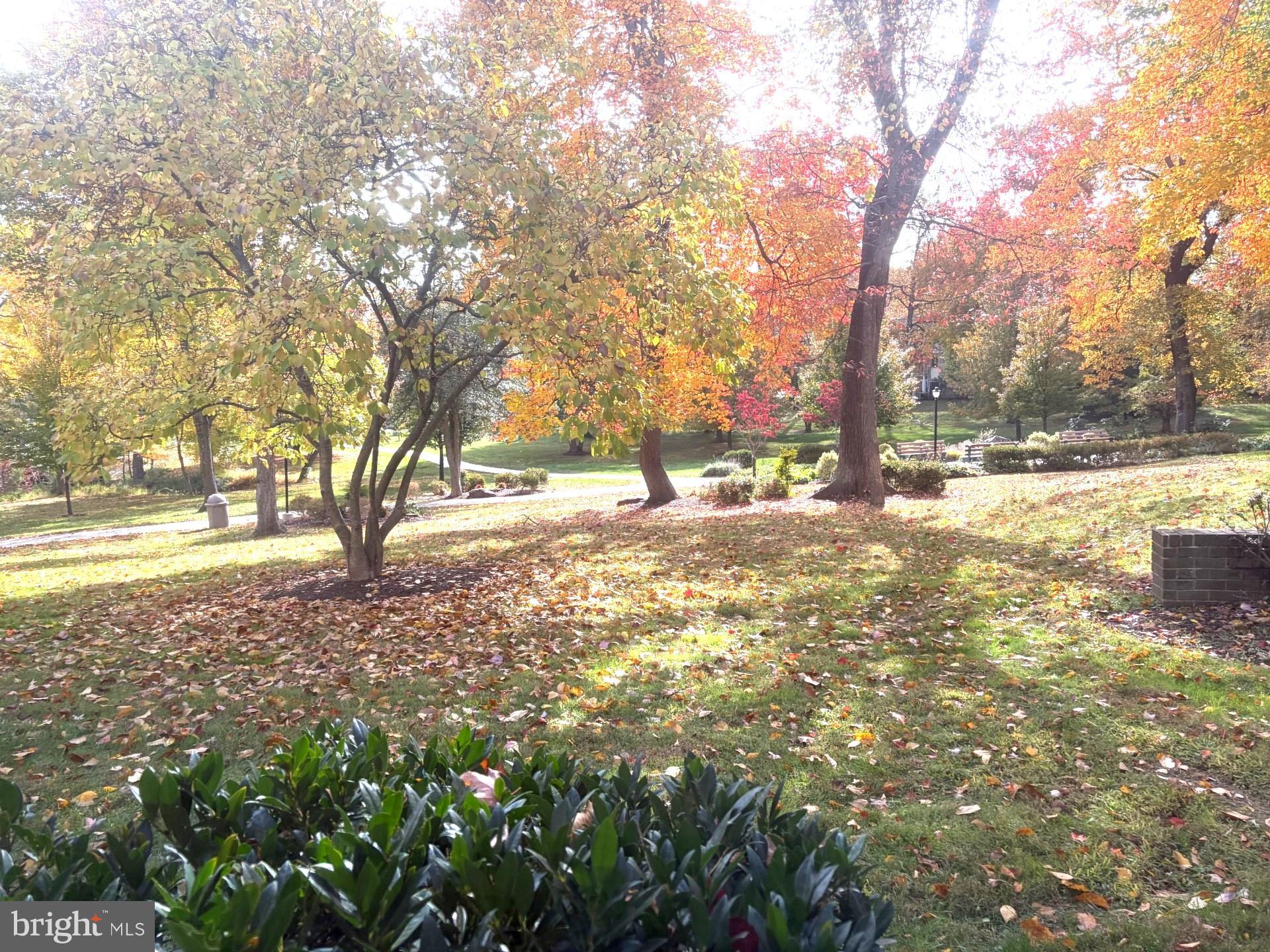 MONTGOMERY MUTUAL COOP - Residential