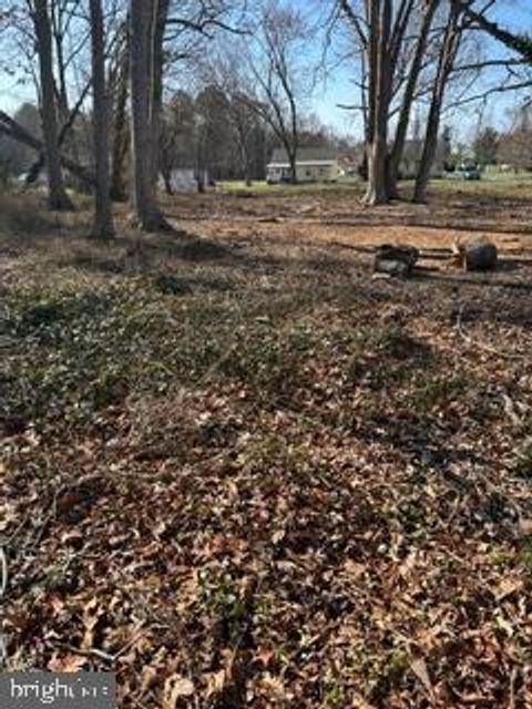 Vacant Land For Sale - Lot #1 Harley Lane<br/> Chesterfield, MD 21619