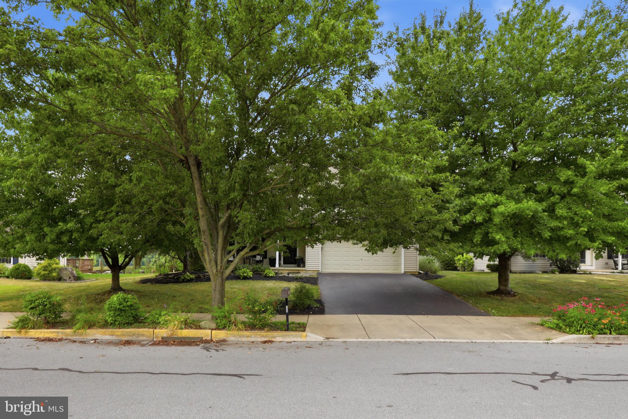 230 CAMBRIDGE LANE