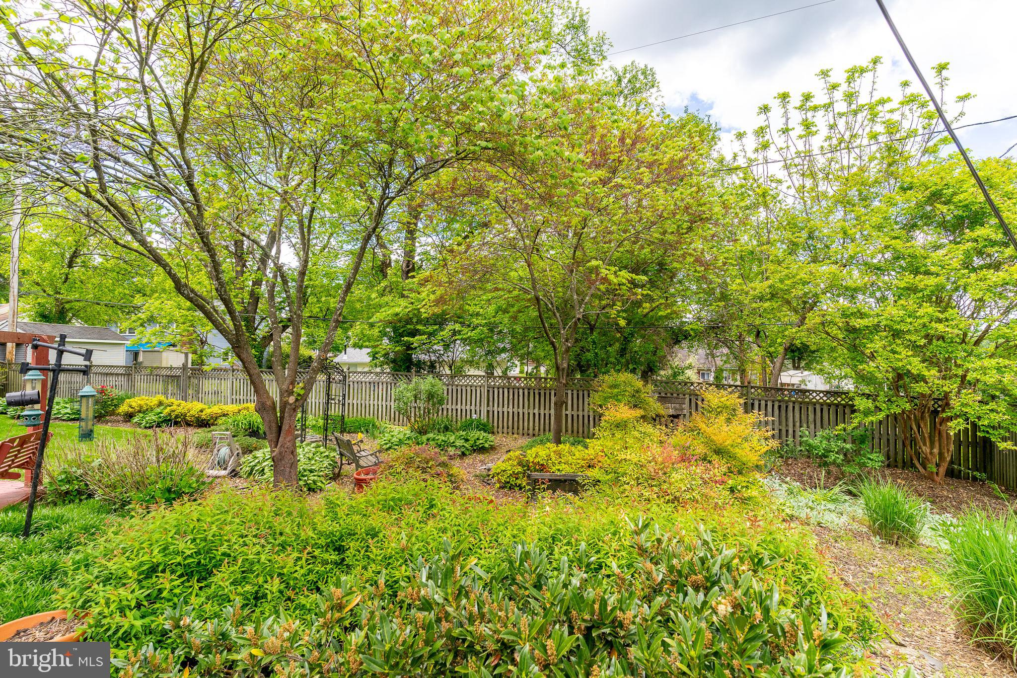 SOMERSET AT BELAIR - Residential