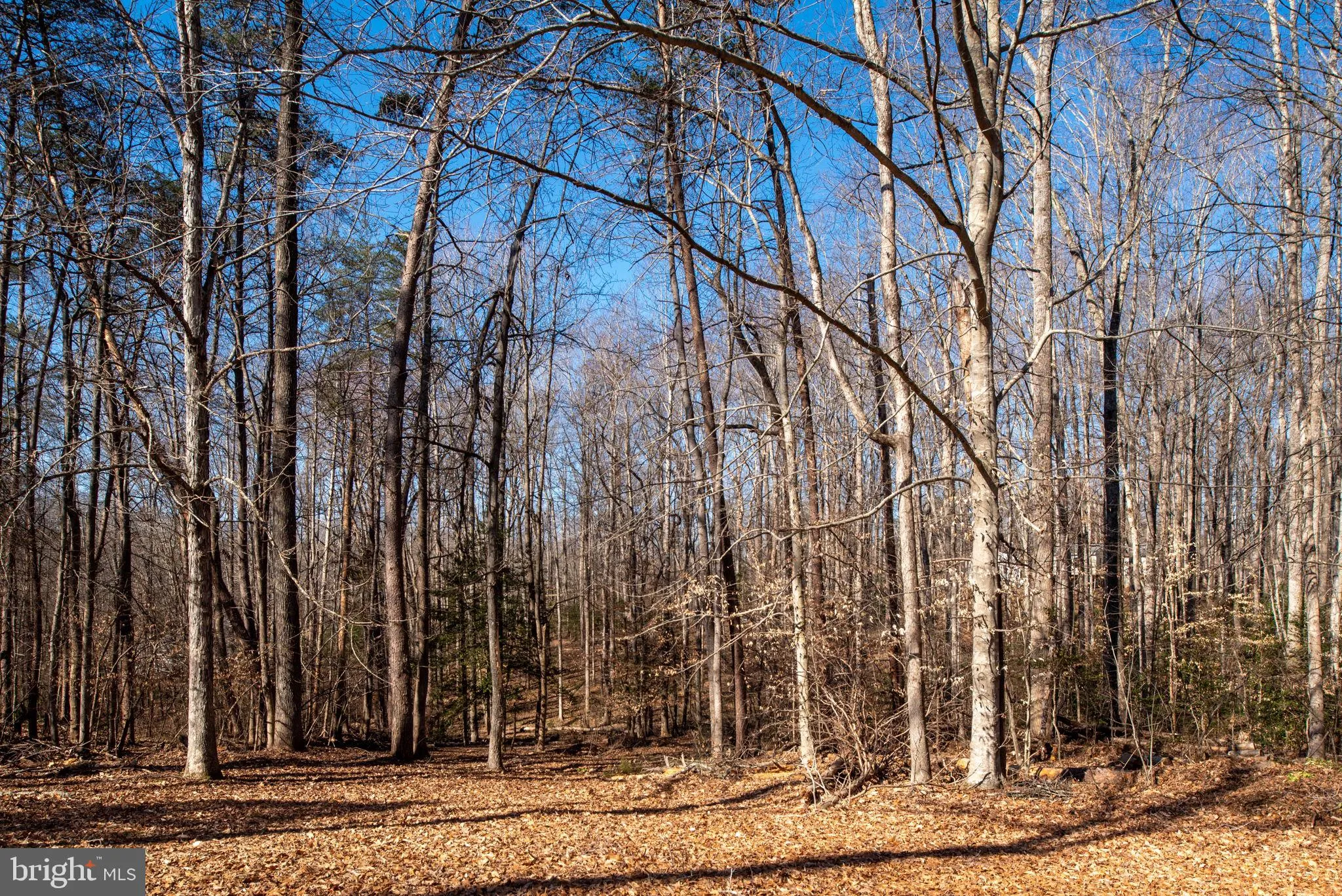 Spotsylvania, Virginia 22551, United States, 3 Bedrooms Bedrooms, ,3 BathroomsBathrooms,Residential,Pending,82030