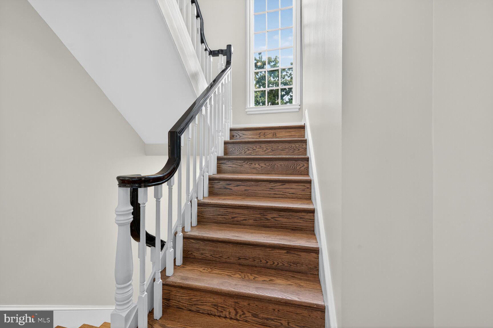 GEORGETOWN - Residential