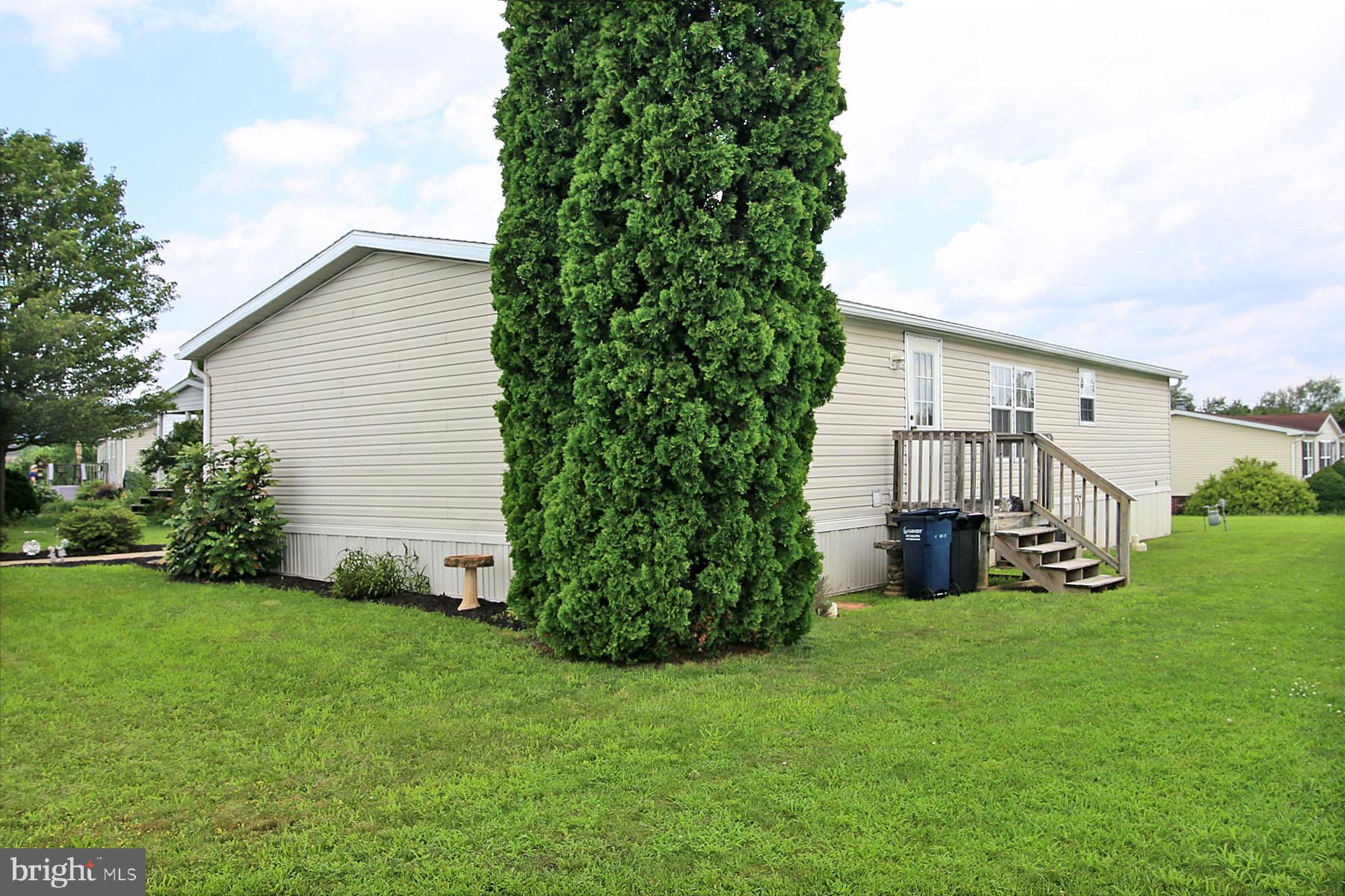 5 PINE STREET