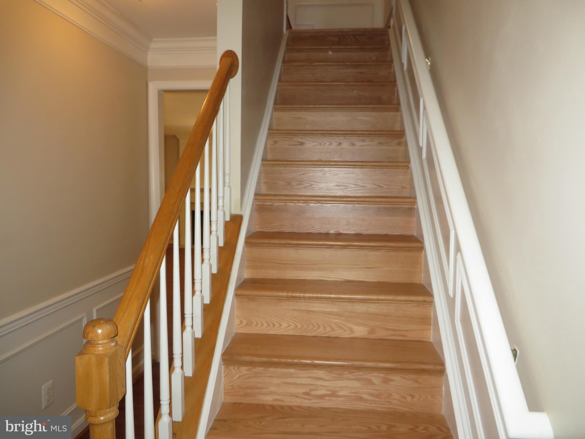 DOMINION STATION - Residential Lease