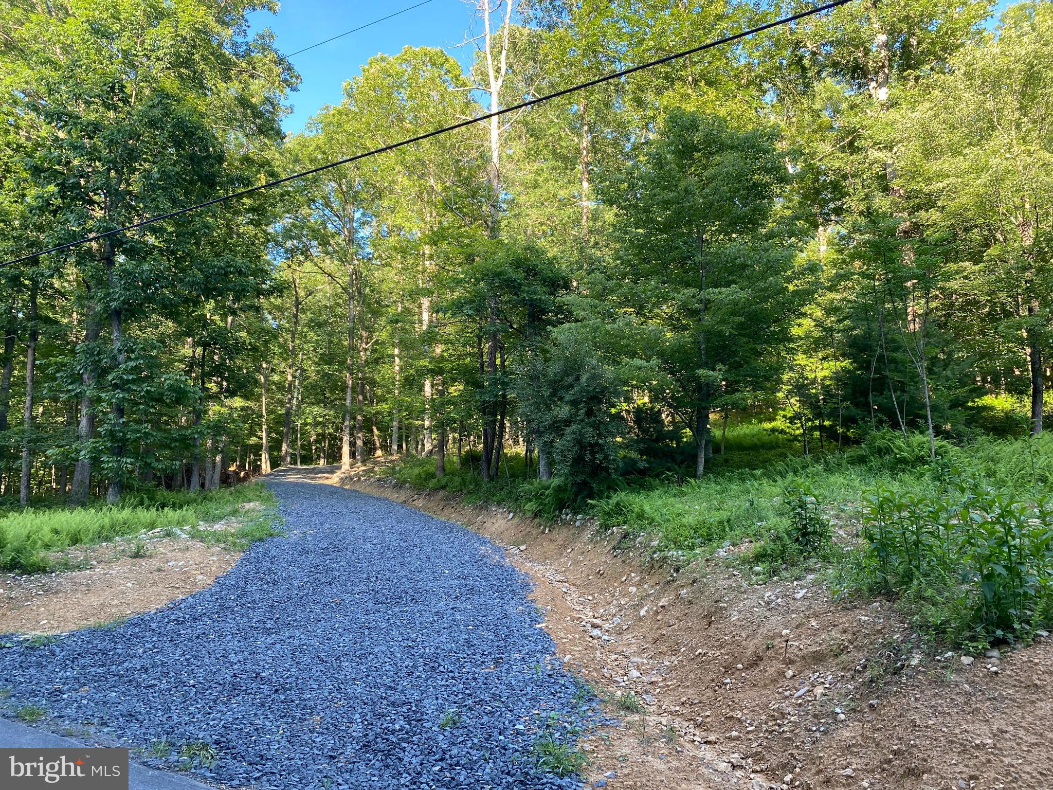 2.28 AC THORN BOTTOM