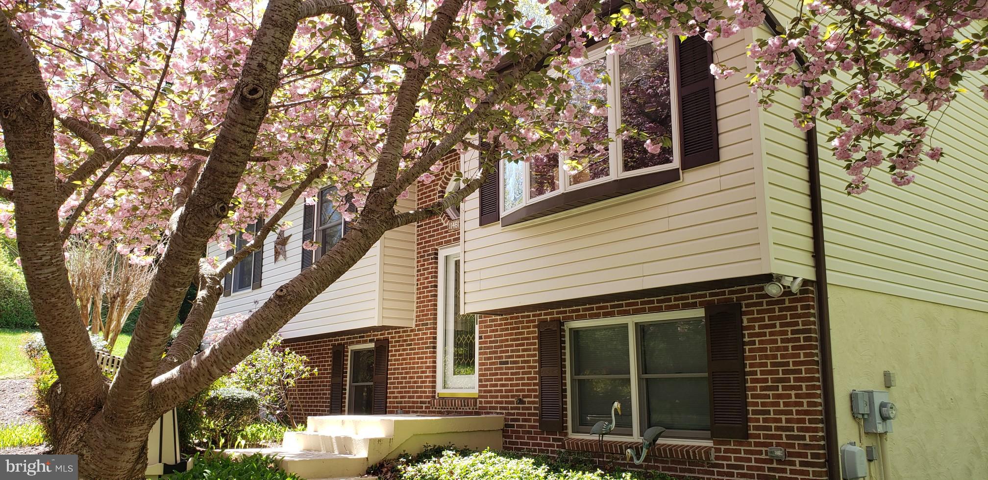 CHESAPEAKE RANCH ESTATES - Residential