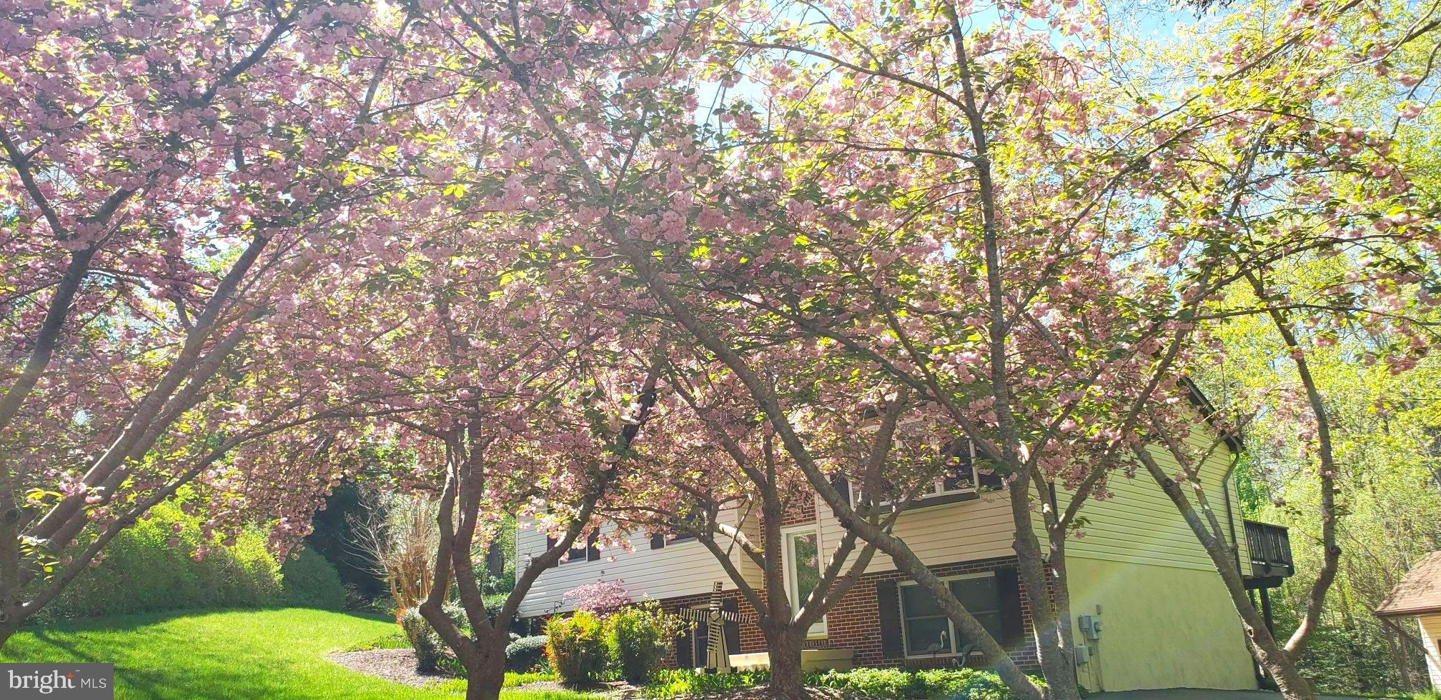 CHESAPEAKE RANCH ESTATES - Residential