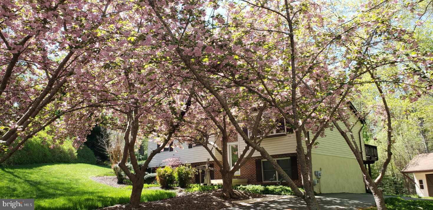 CHESAPEAKE RANCH ESTATES - Residential