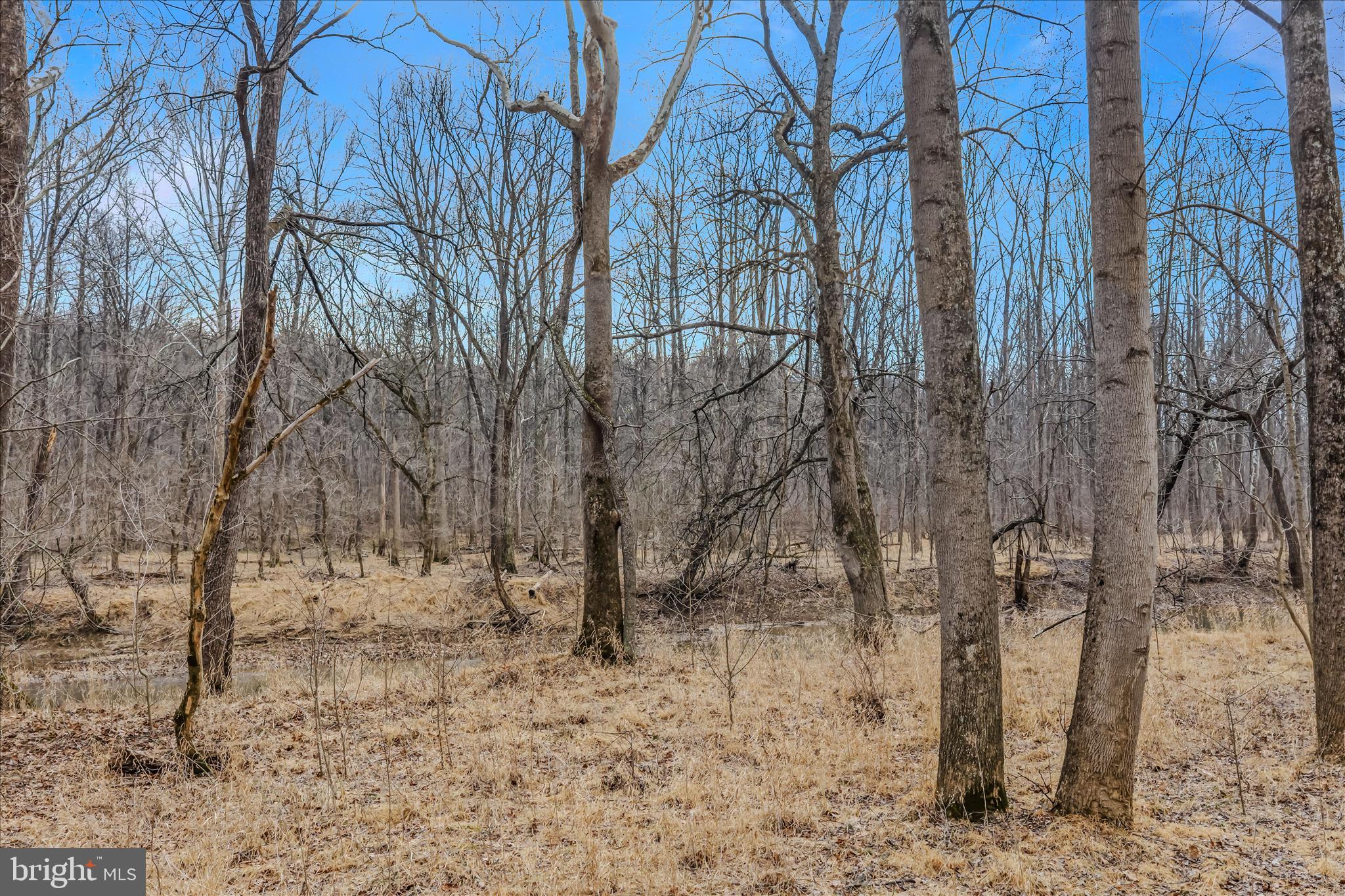 BIRCH CREEK - Residential