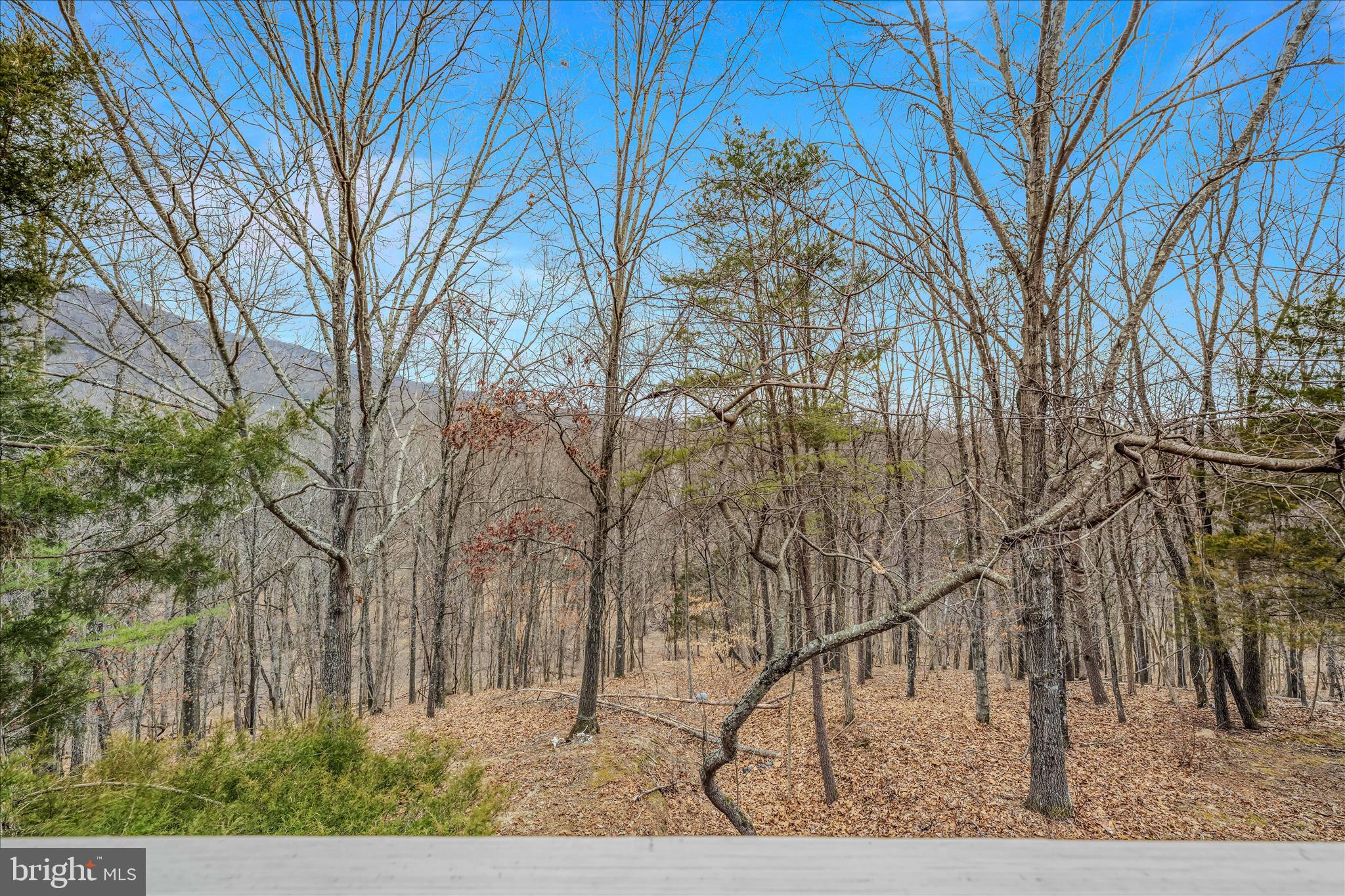 BIRCH CREEK - Residential