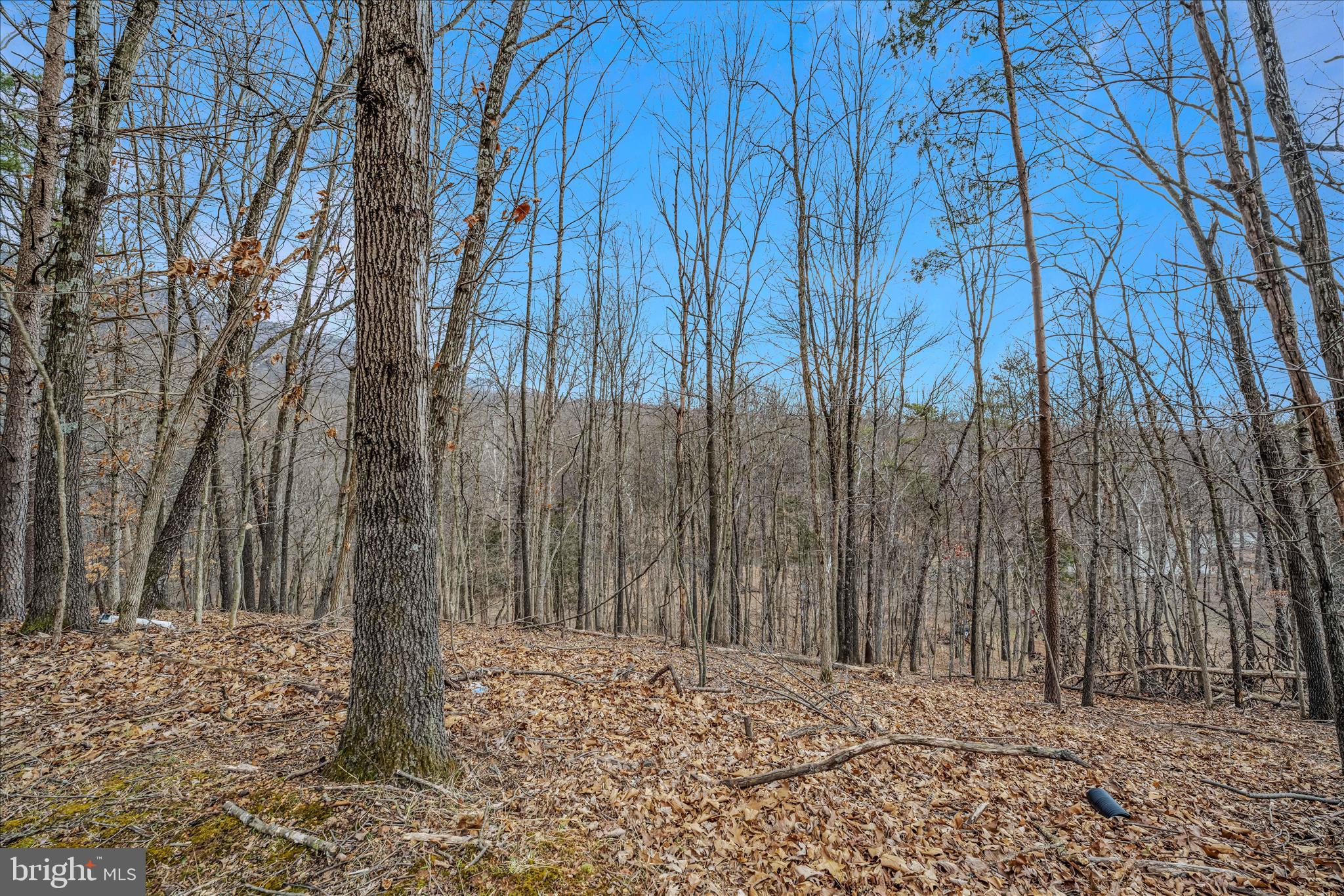 BIRCH CREEK - Residential