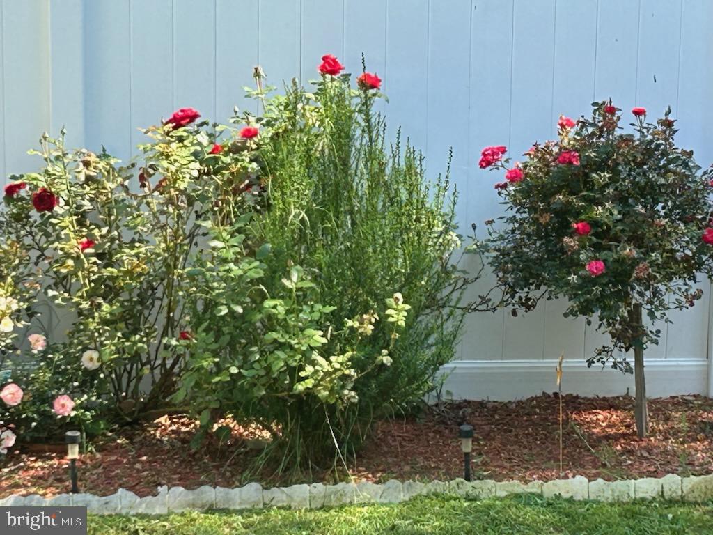 CHANCELLOR GREEN - Residential