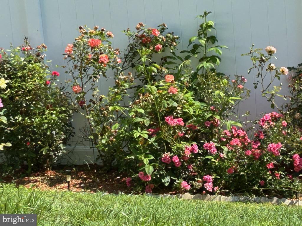 CHANCELLOR GREEN - Residential