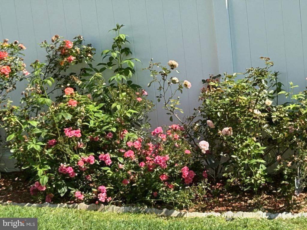 CHANCELLOR GREEN - Residential