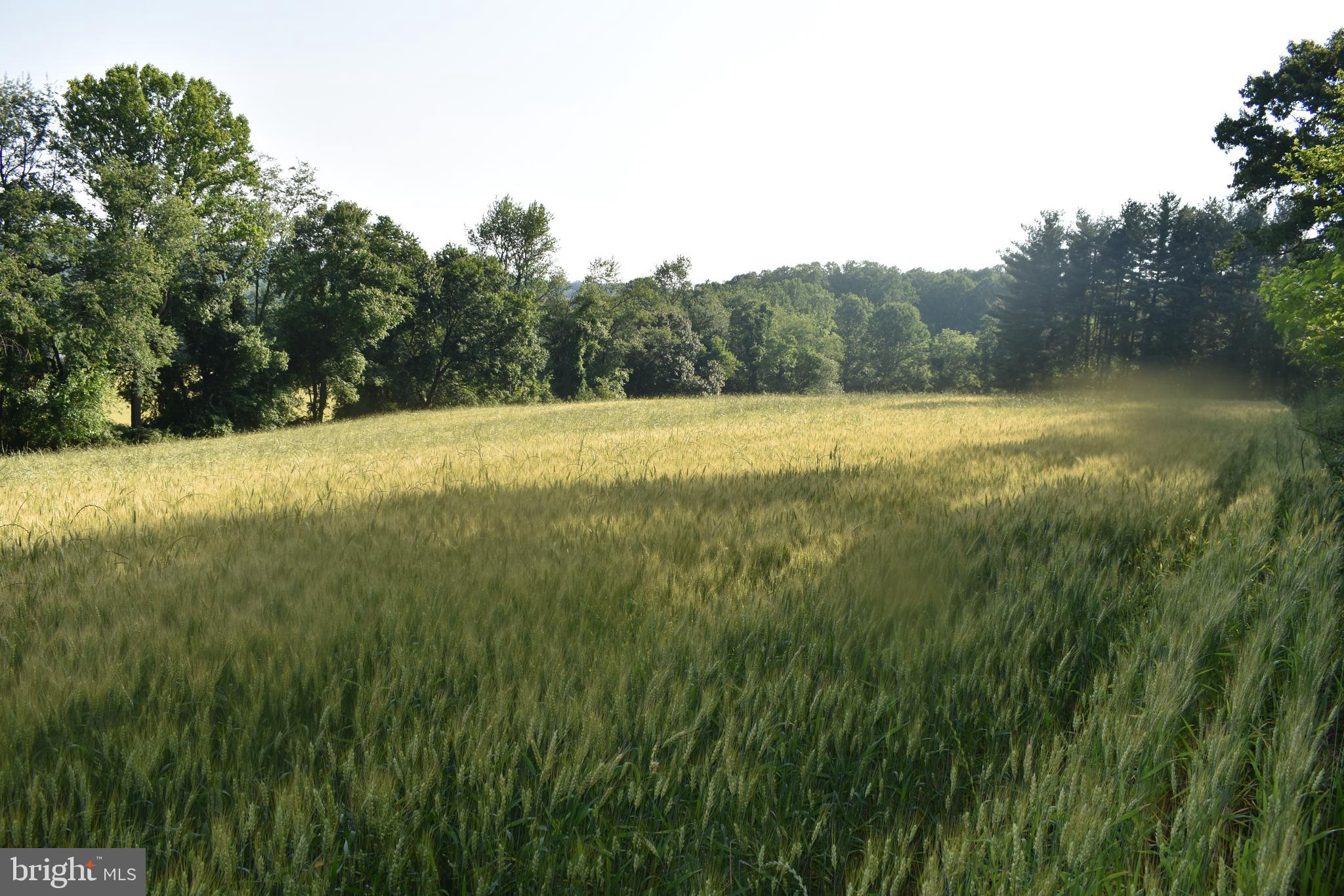 0 CEDAR GROVE ROAD