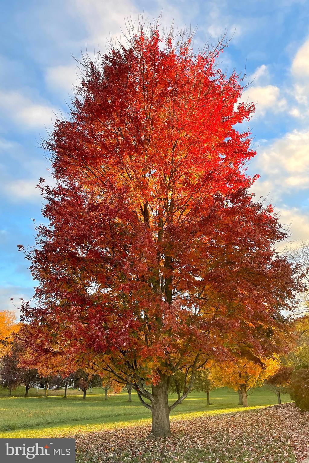 MONKTON - Residential