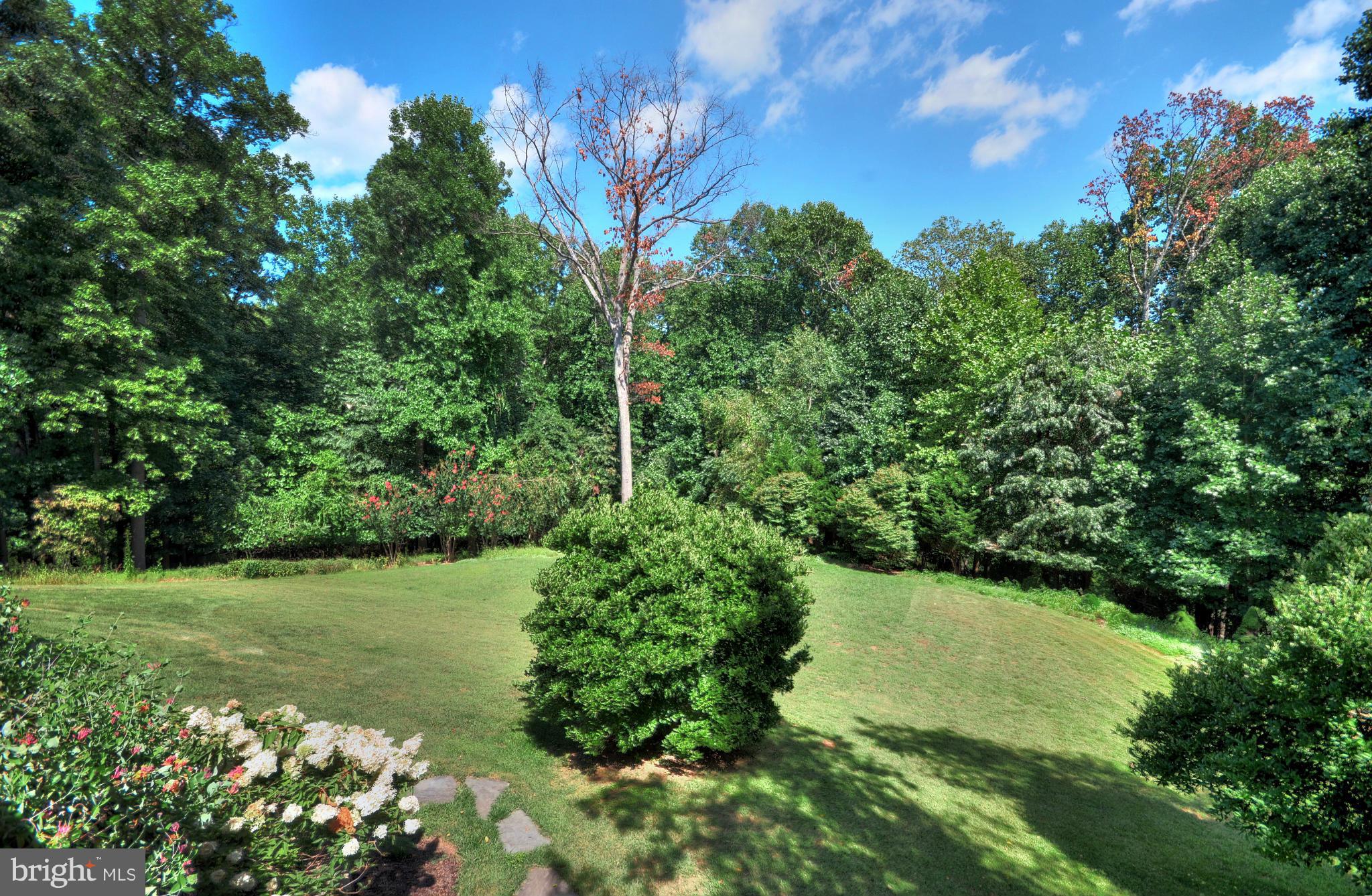 SPRINGHILL FARMS - Residential