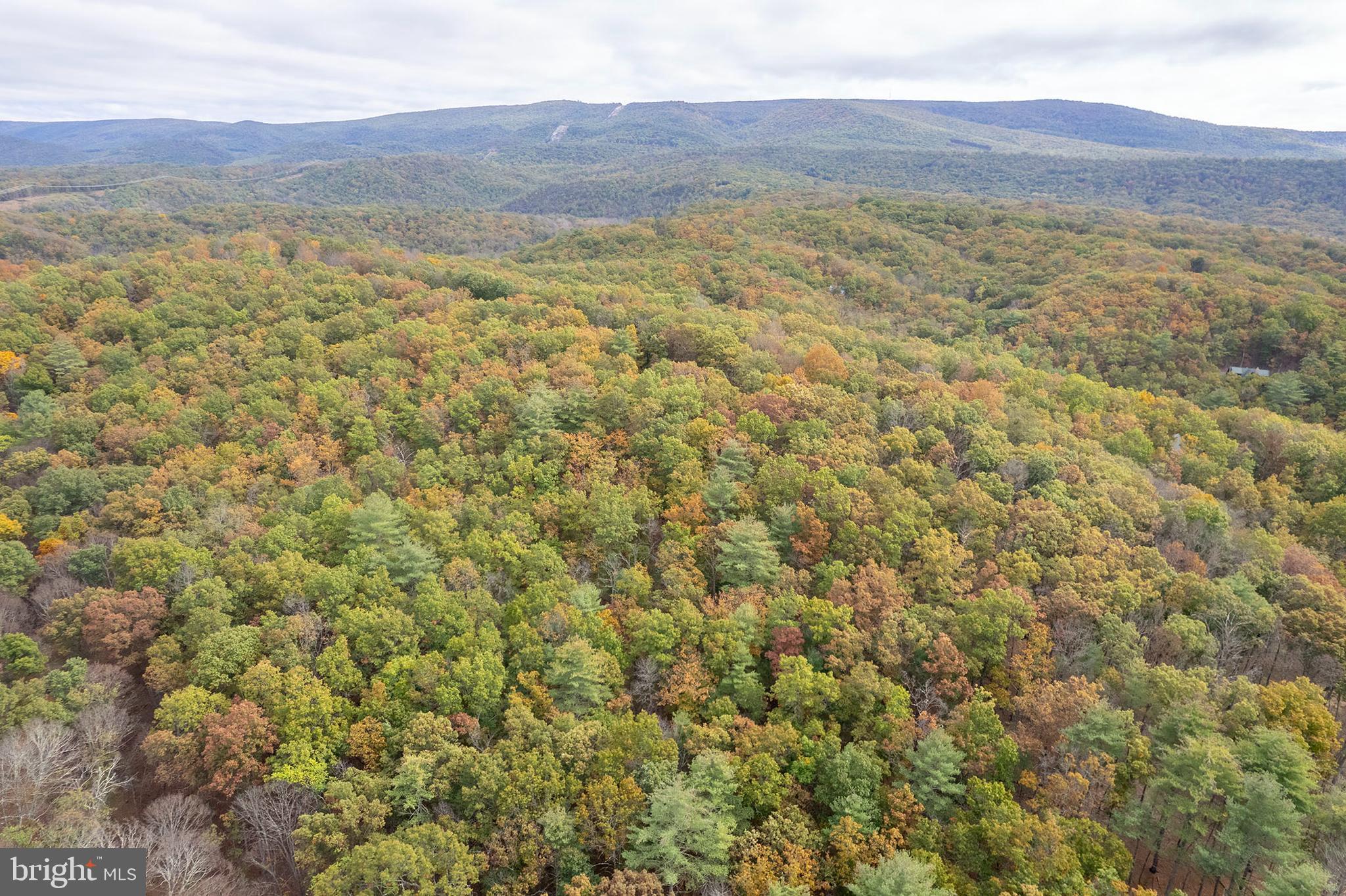 THE CROSSING AT GREAT CACAPON - Residential