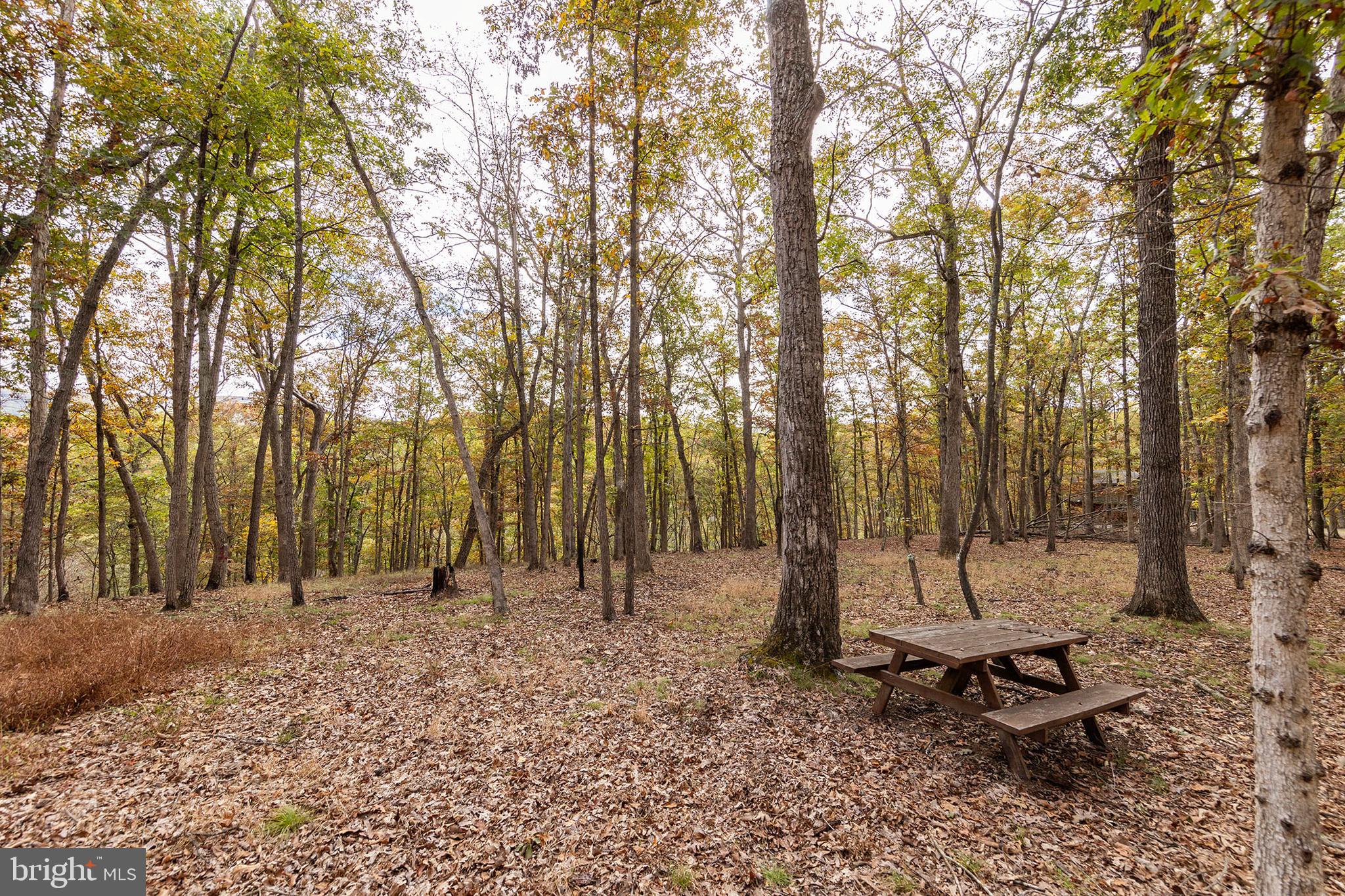 THE CROSSING AT GREAT CACAPON - Residential