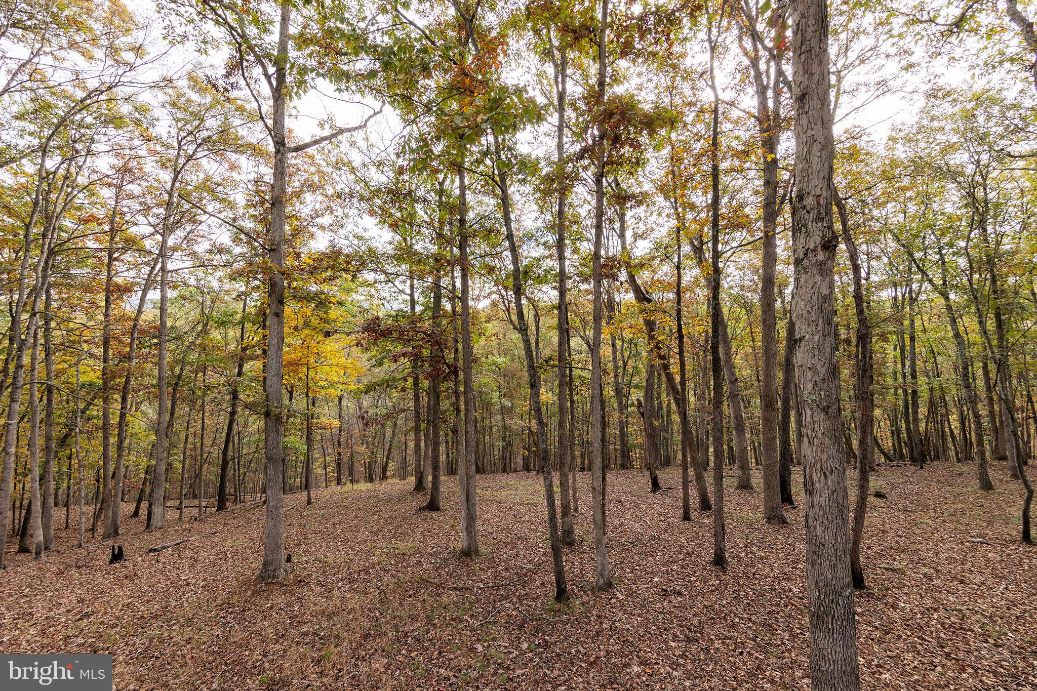 THE CROSSING AT GREAT CACAPON - Residential