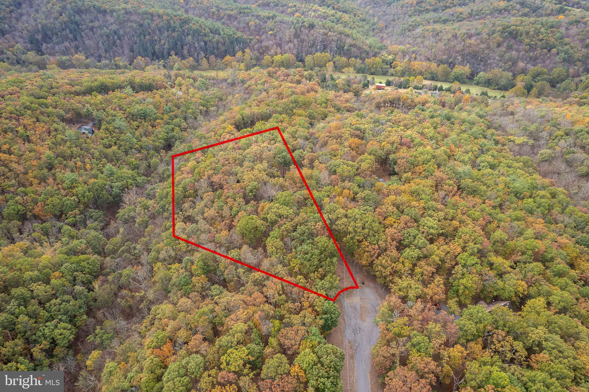 103 EASTERN CEDAR COURT