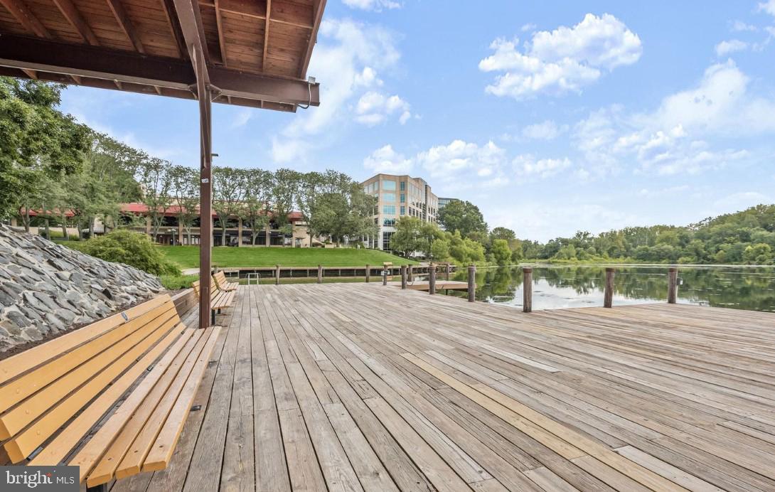 THE WHITNEY TOWN CENTER - Residential