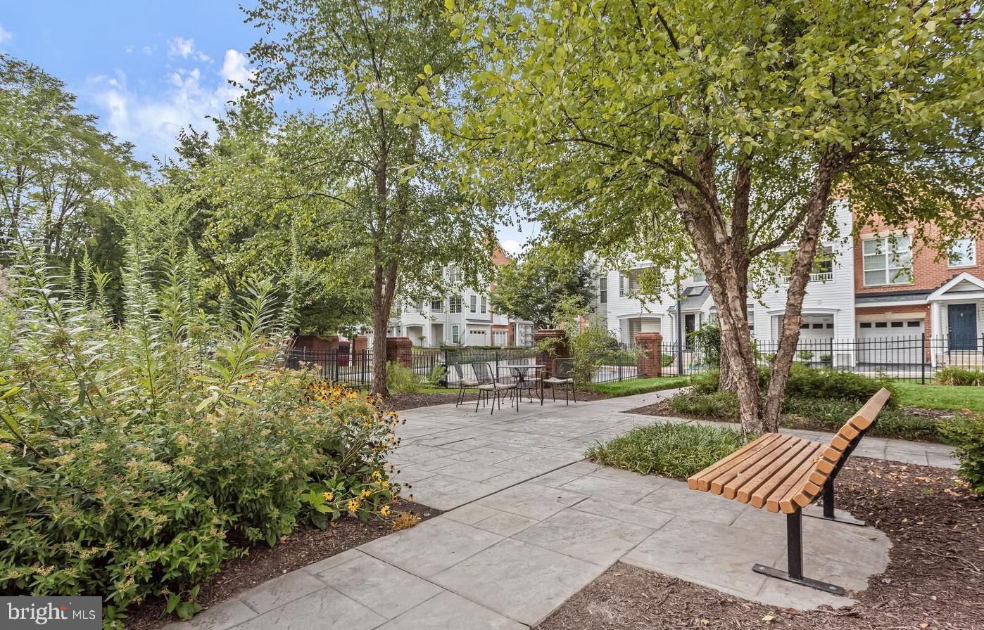 THE WHITNEY TOWN CENTER - Residential