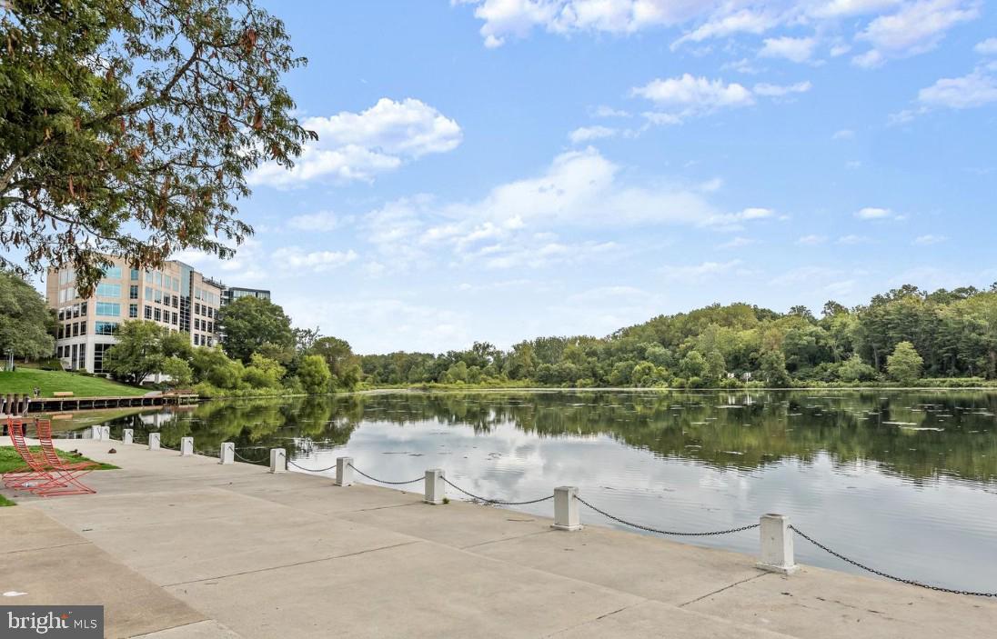 THE WHITNEY TOWN CENTER - Residential