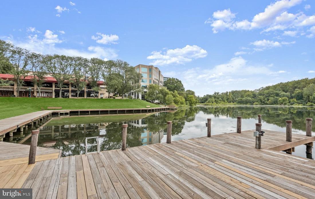 THE WHITNEY TOWN CENTER - Residential