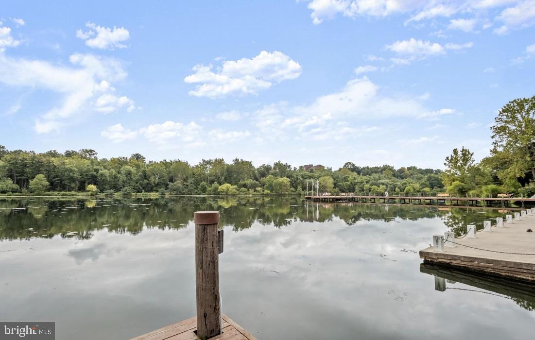 THE WHITNEY TOWN CENTER - Residential