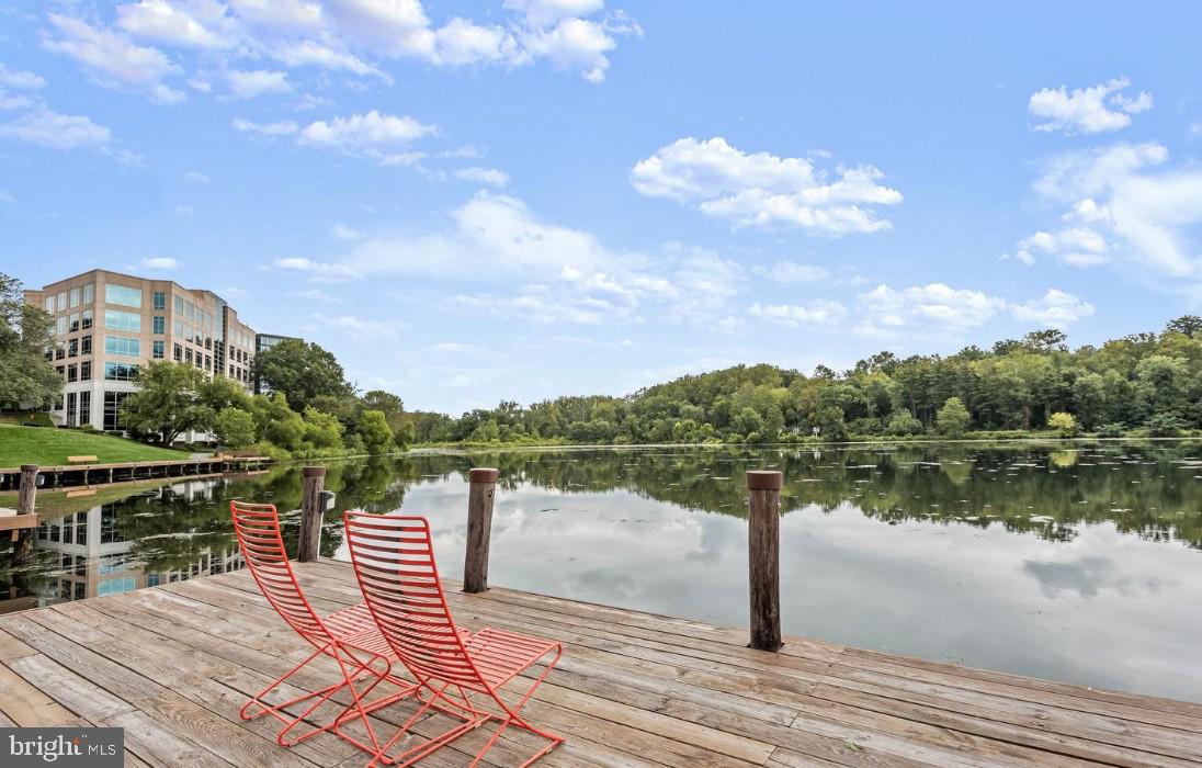 THE WHITNEY TOWN CENTER - Residential