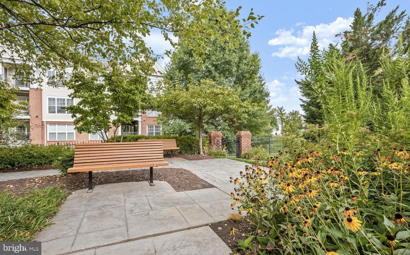 THE WHITNEY TOWN CENTER - Residential