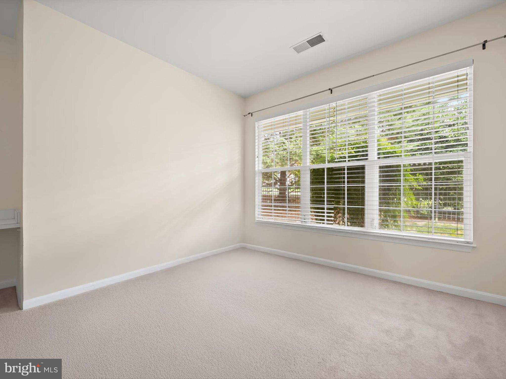 THE WHITNEY TOWN CENTER - Residential