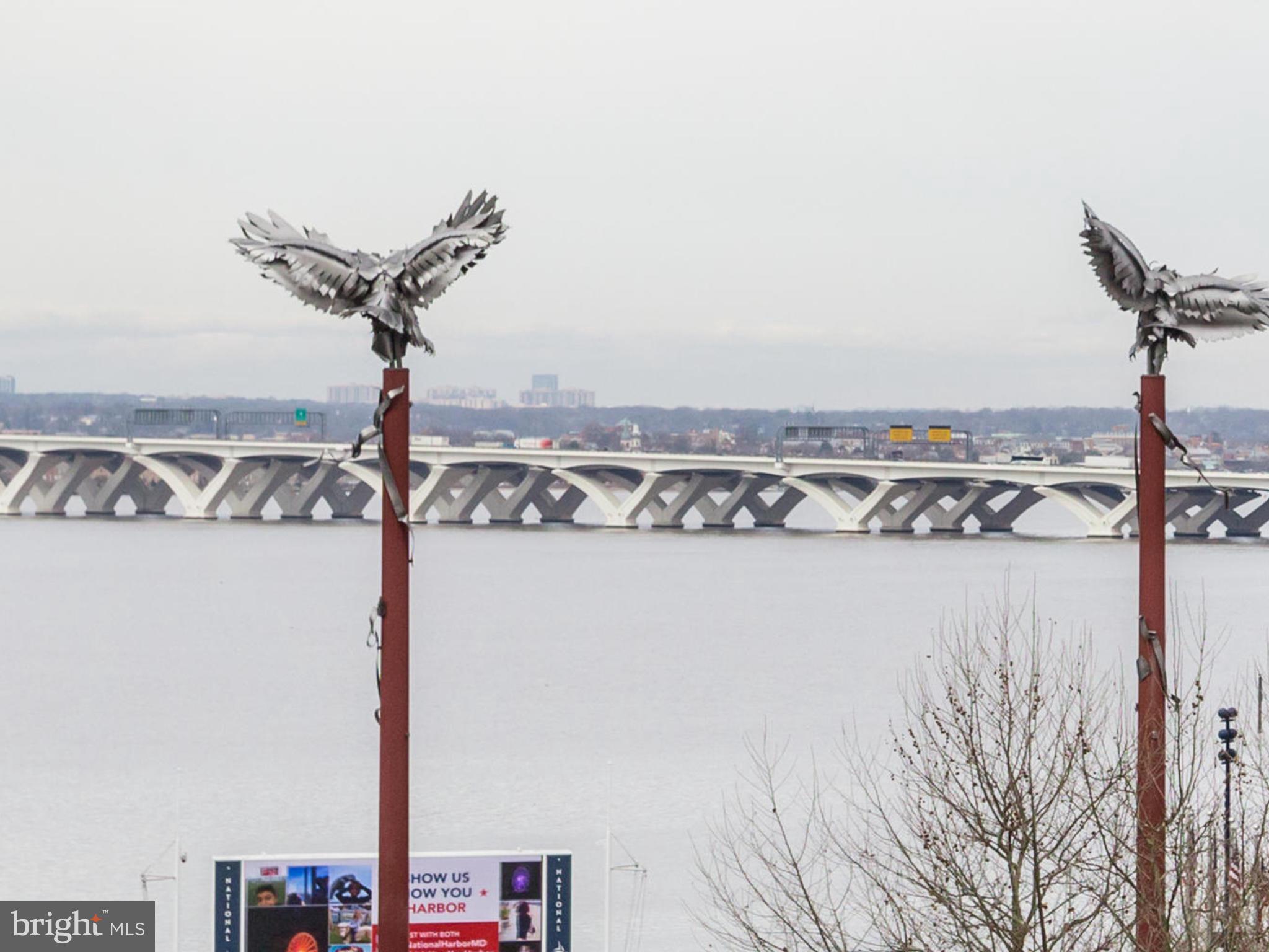 NATIONAL HARBOR - Residential