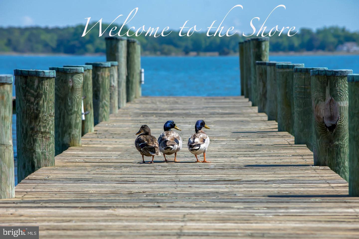 NORTH BROOK - Residential