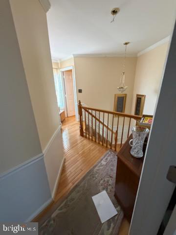 GLASSMANOR - Residential